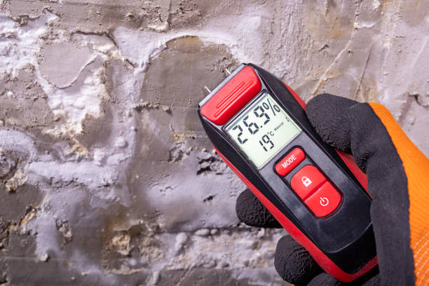 Attic Mold Removal in North Lakes, AK