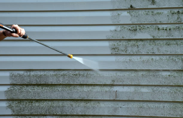 Best Fast Mold Removal  in North Les, AK