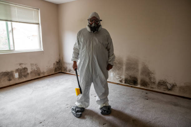 Best Mold Testing  in North Les, AK